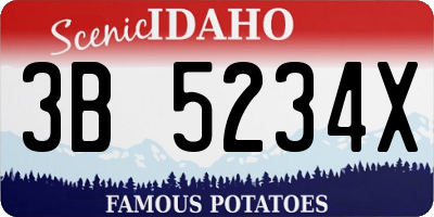 ID license plate 3B5234X