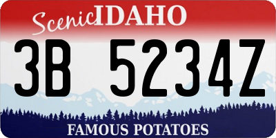 ID license plate 3B5234Z