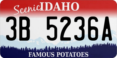 ID license plate 3B5236A