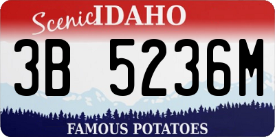 ID license plate 3B5236M