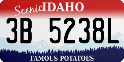 ID license plate 3B5238L