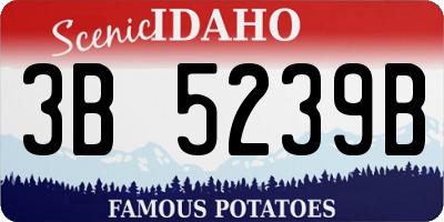 ID license plate 3B5239B