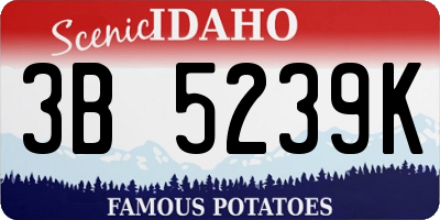 ID license plate 3B5239K