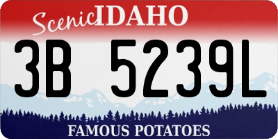 ID license plate 3B5239L