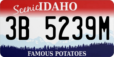 ID license plate 3B5239M
