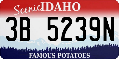 ID license plate 3B5239N