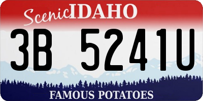ID license plate 3B5241U