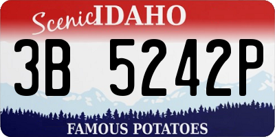 ID license plate 3B5242P