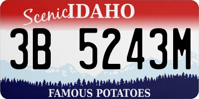 ID license plate 3B5243M