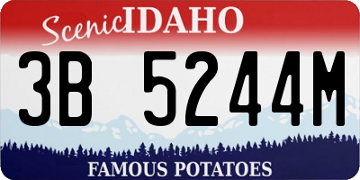 ID license plate 3B5244M