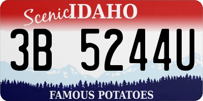 ID license plate 3B5244U