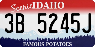 ID license plate 3B5245J