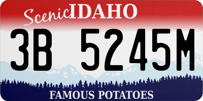 ID license plate 3B5245M