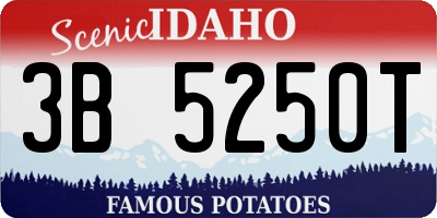ID license plate 3B5250T