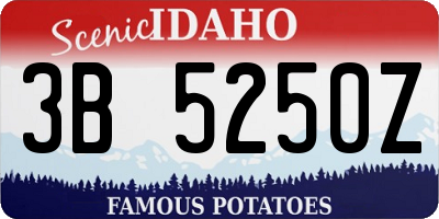 ID license plate 3B5250Z