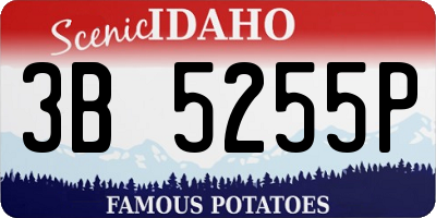 ID license plate 3B5255P
