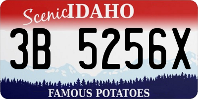 ID license plate 3B5256X