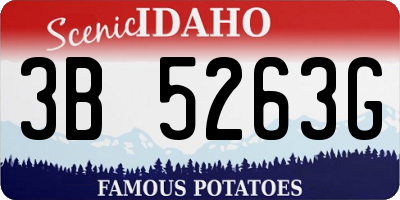 ID license plate 3B5263G