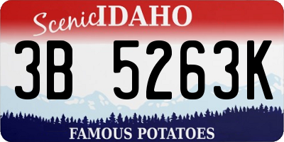 ID license plate 3B5263K