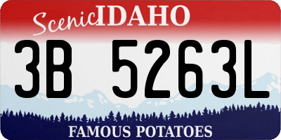ID license plate 3B5263L