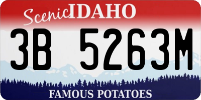 ID license plate 3B5263M