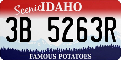 ID license plate 3B5263R