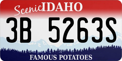 ID license plate 3B5263S