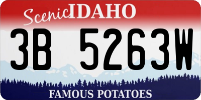 ID license plate 3B5263W