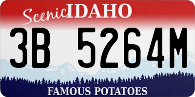ID license plate 3B5264M