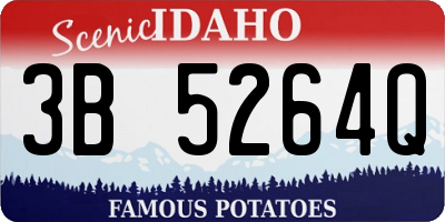 ID license plate 3B5264Q