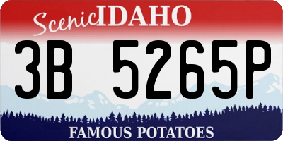 ID license plate 3B5265P