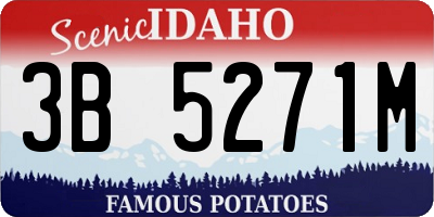 ID license plate 3B5271M