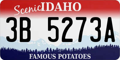 ID license plate 3B5273A