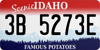 ID license plate 3B5273E