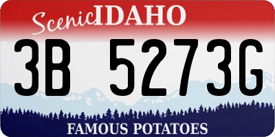 ID license plate 3B5273G