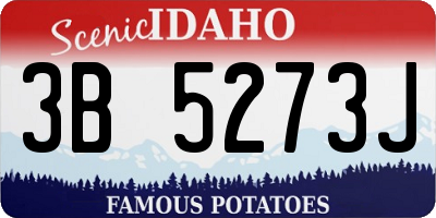 ID license plate 3B5273J