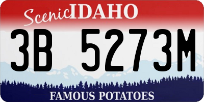 ID license plate 3B5273M