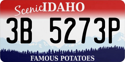 ID license plate 3B5273P