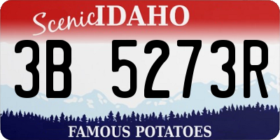 ID license plate 3B5273R