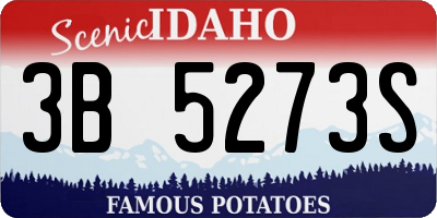 ID license plate 3B5273S