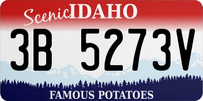 ID license plate 3B5273V