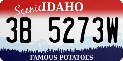 ID license plate 3B5273W