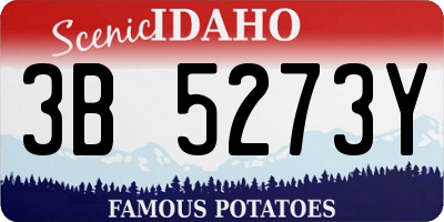 ID license plate 3B5273Y