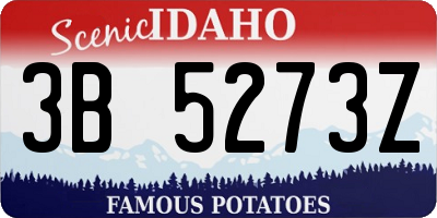 ID license plate 3B5273Z