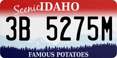 ID license plate 3B5275M