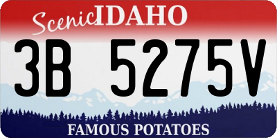 ID license plate 3B5275V