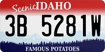 ID license plate 3B5281W