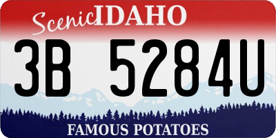 ID license plate 3B5284U