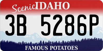 ID license plate 3B5286P