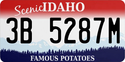 ID license plate 3B5287M